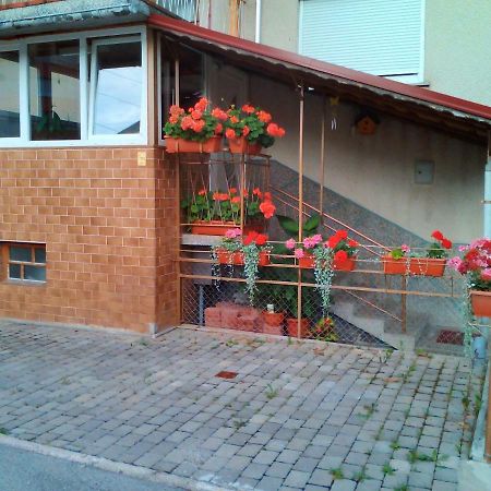 Apartment Janja Vojnik Eksteriør bilde