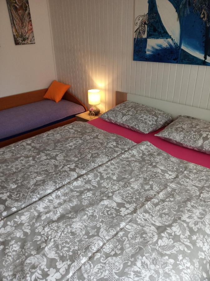 Apartment Janja Vojnik Eksteriør bilde