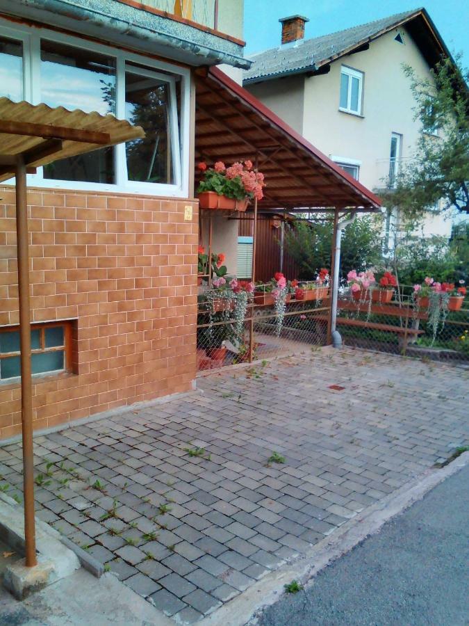 Apartment Janja Vojnik Eksteriør bilde