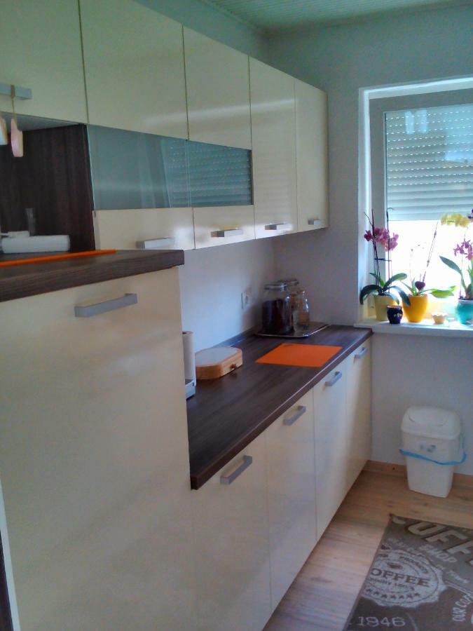 Apartment Janja Vojnik Eksteriør bilde